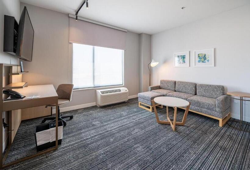 سوییت, Towneplace Suites By Marriott Las Vegas North I15