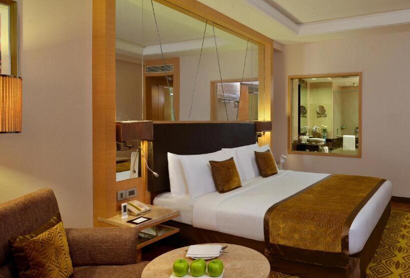 行政房间, Radisson Hotel Kandla