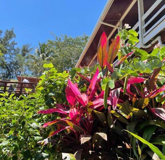 سوییت با چشم‌انداز باغ, And Dive Center Roatan Yacht Club