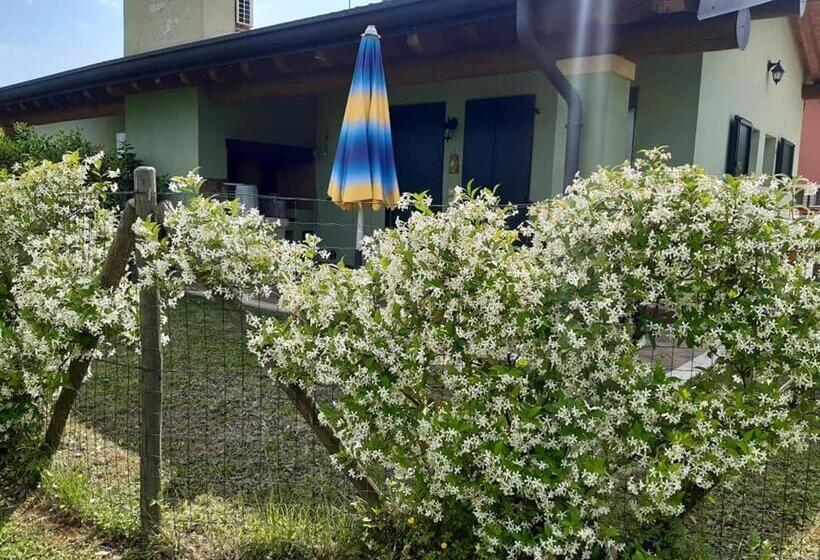 Апартаменты 1 Спальня, Agriturismo Lizzarola