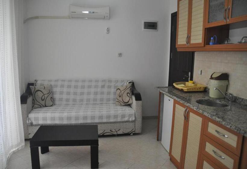 آپارتمان 1 خوابه با چشم‌انداز باغ, Oğuz Apart
