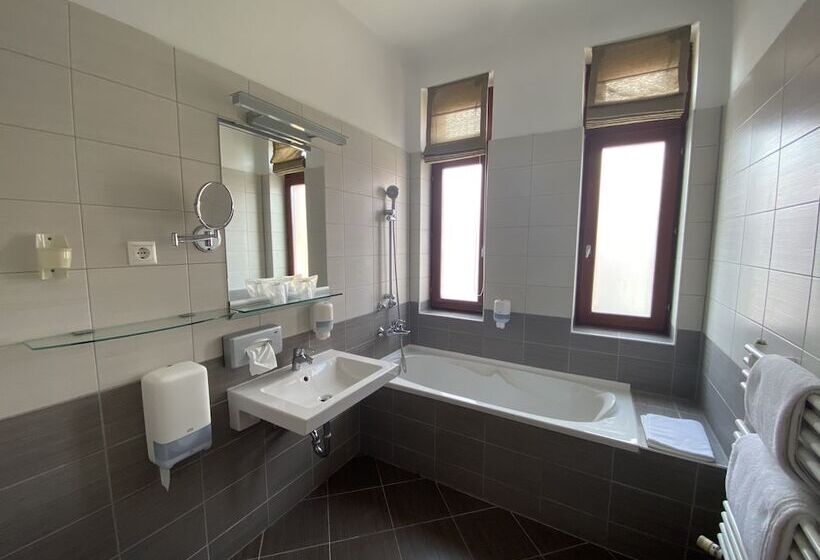 اتاق استاندارد یک نفره, Boutique Hotel Sopianae