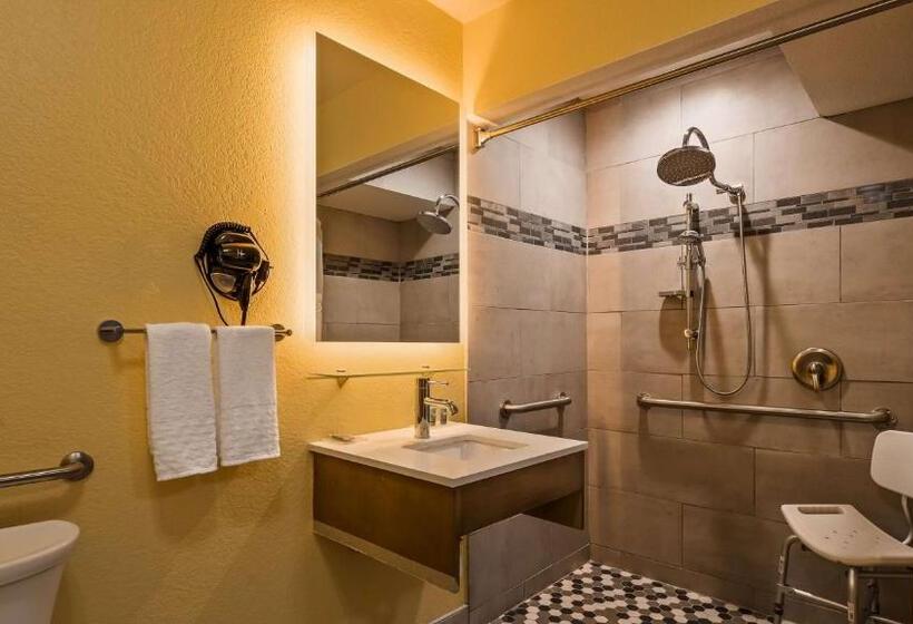 Номер Стандарт Адаптированный для Инвалидов, Best Western Dewitt