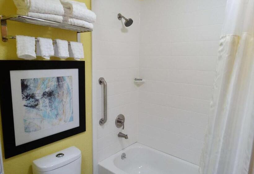 Номер Стандарт Адаптированный для Инвалидов, Best Western Dewitt