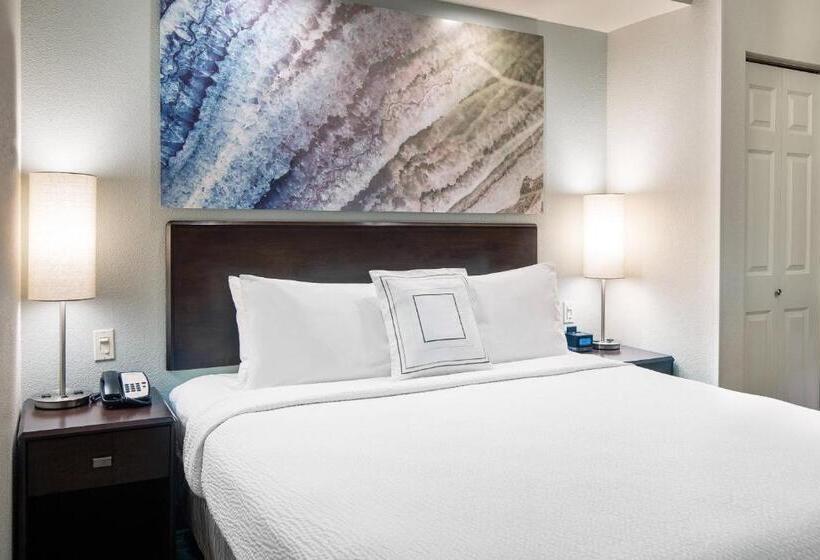 带大床的套房, Springhill Suites Bakersfield