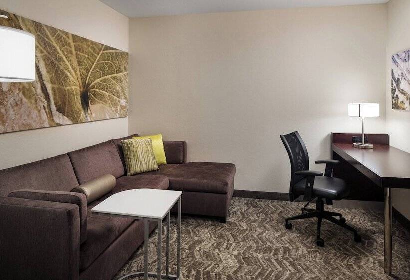 套房, Springhill Suites Bakersfield