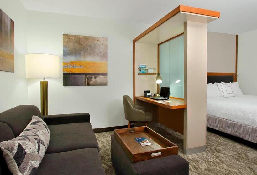 스탠다드 스튜디오, Springhill Suites By Marriott Madera