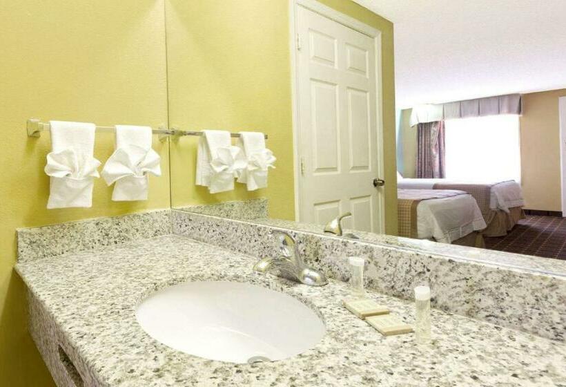 اتاق استاندارد با تخت بزرگ برای معلولان, Rodeway Inn Charlotte Airport Area