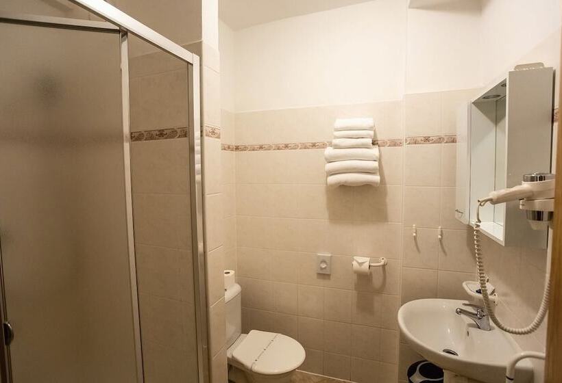 اتاق استاندارد, Vz Bedřichov