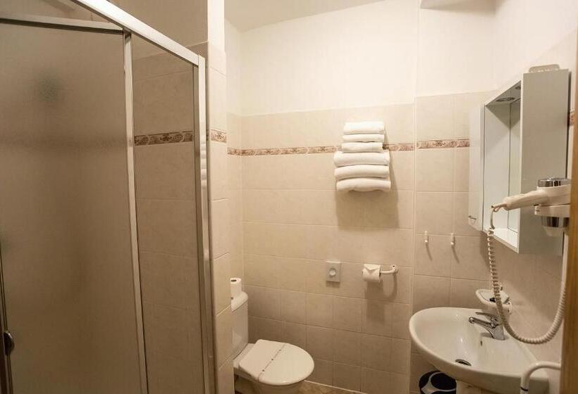 اتاق استاندارد سه نفره, Vz Bedřichov