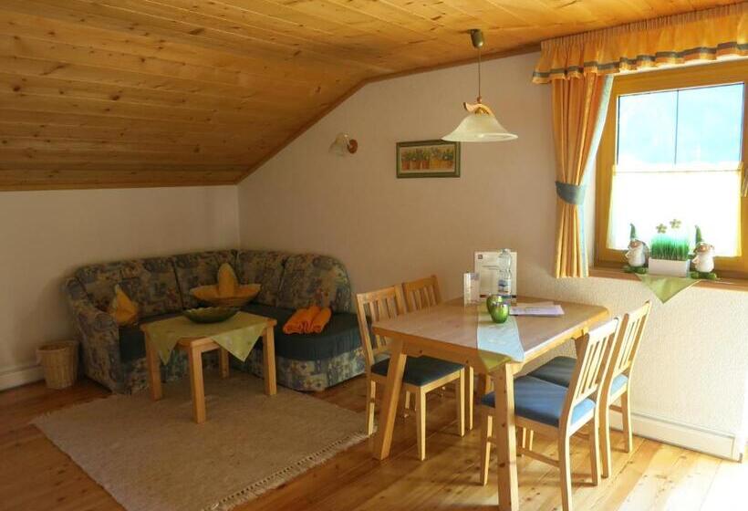 آپارتمان سوپریور 1 خوابه, Appartement Breitlehn