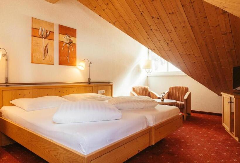 Семейный Номер Вид на Горы, Nassereinerhof