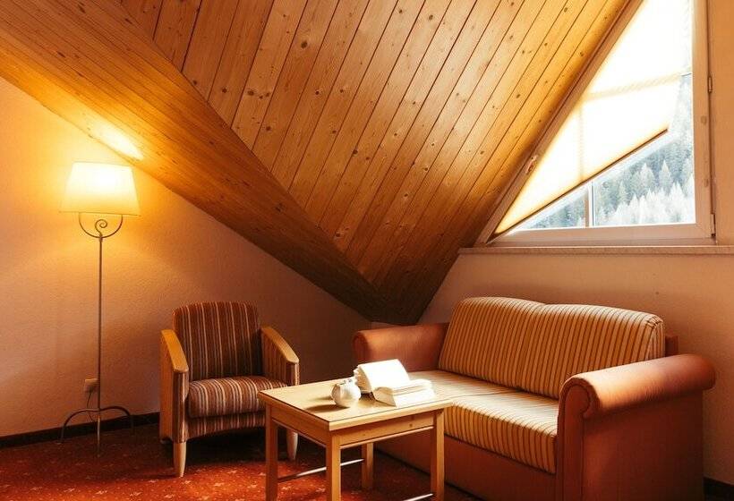 Номер Комфорт, Nassereinerhof