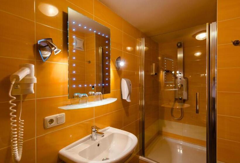 Номер Стандарт с Террасой, 1a Hotel Steiner