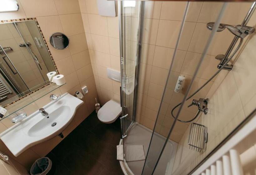 Номер Стандарт Индивидуальный, Wander  Und Wellnesshotel Kanzler