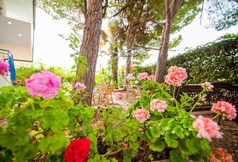 ویلای 1 خوابه, Suite House L'isola Che Non C'è