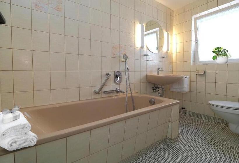 Номер Deluxe, Goldener Hirsch Mosbach