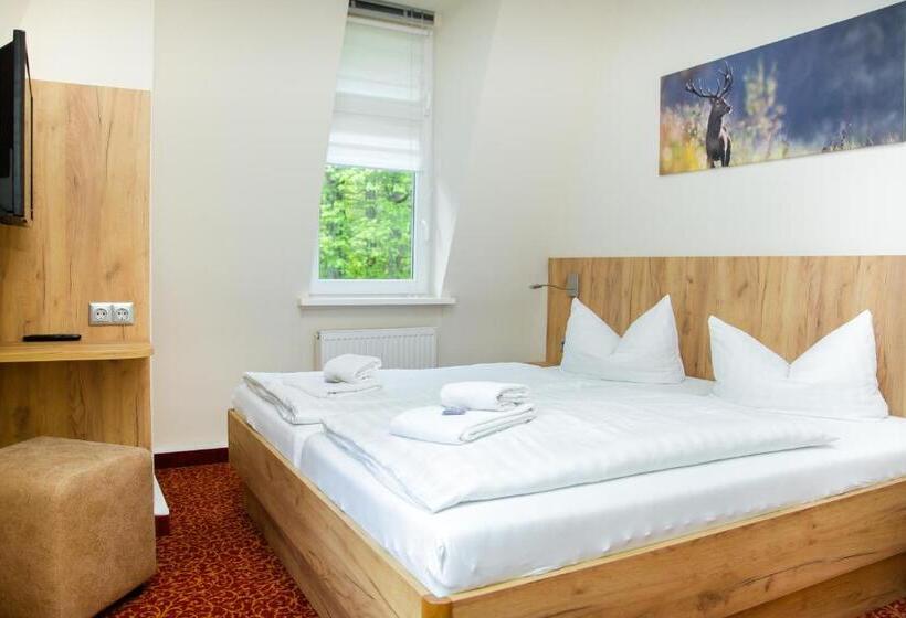 Семейный Номер, Waldhotel Friedrichroda