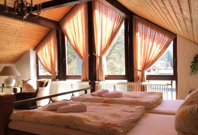 带花园景观的标准工作室, Diamanthotel Idar Oberstein