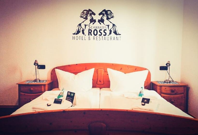 Номер Стандарт, Schwarzes Ross Hotel & Restaurant Oberwiesenthal