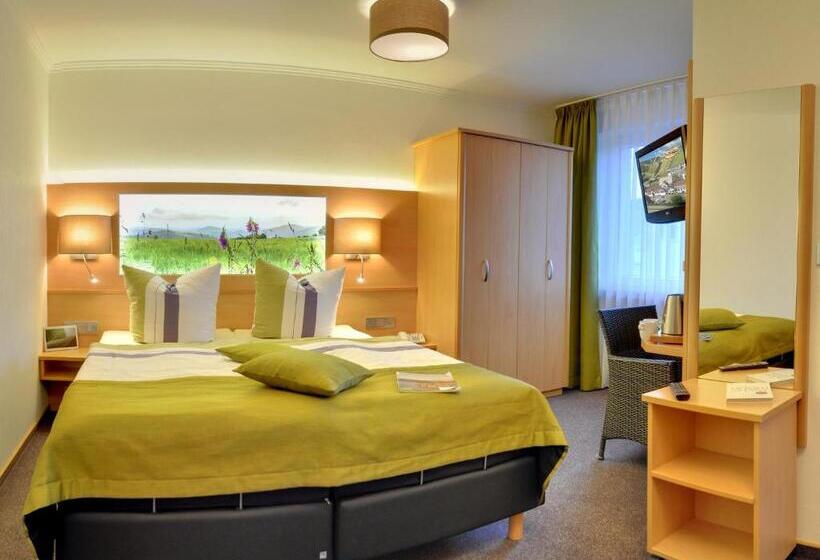 Номер Стандарт Плюс, Vakantiehotel Der Brabander