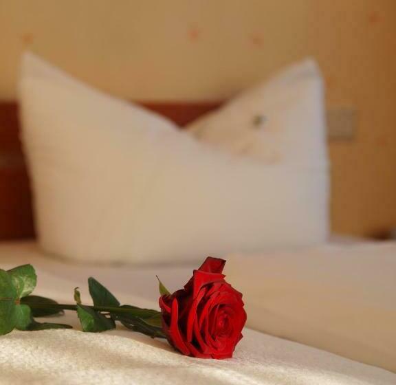 Номер Стандарт, Altes Doktorhaus   Hotel Garni