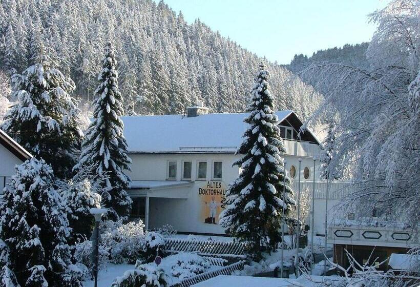 Апартаменты 2 Спальни, Altes Doktorhaus   Hotel Garni