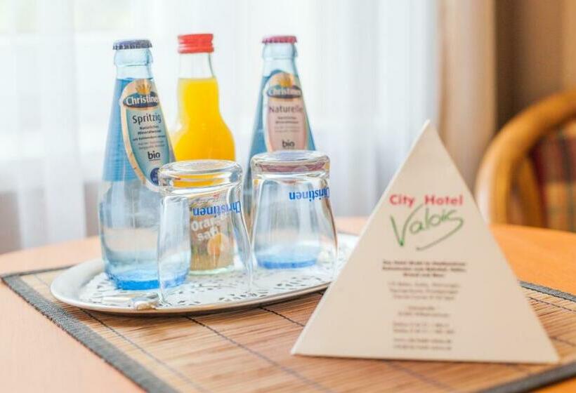 Номер Стандарт Индивидуальный, City Hotel Valois