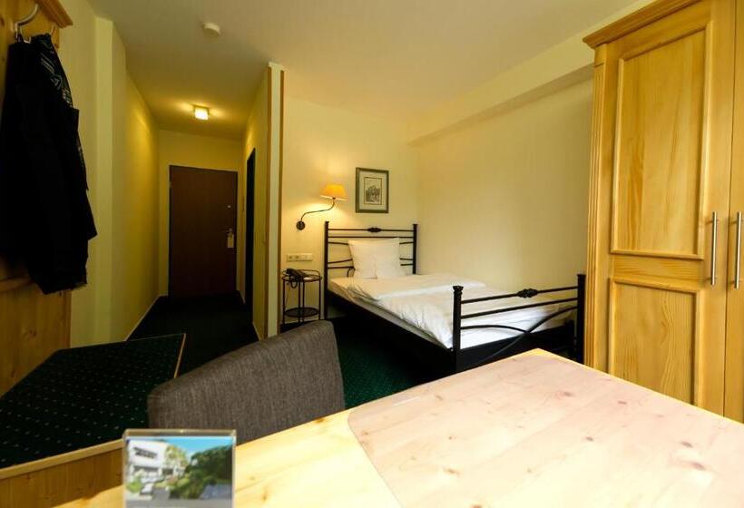 Номер Стандарт Индивидуальный, Parkhotel Hammerberg