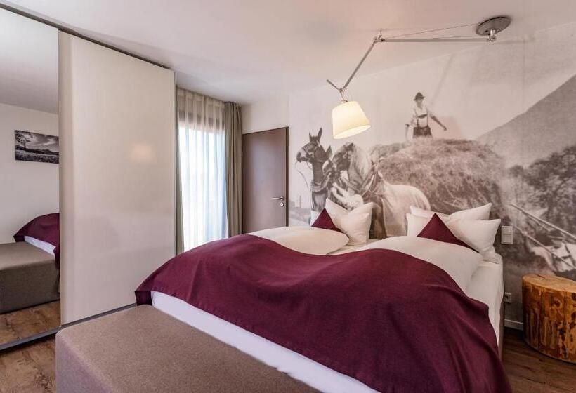 Апартаменты 2 Спальни, Villa Lago Garni