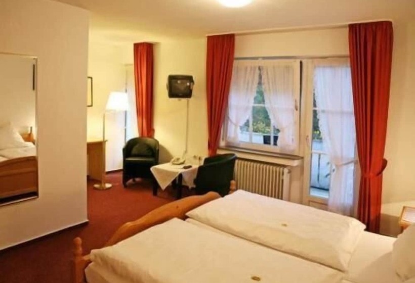 Номер Deluxe Одноместный, Haus Dumicketal