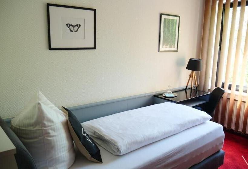 Номер Стандарт Индивидуальный, Parkhotel Bergheim