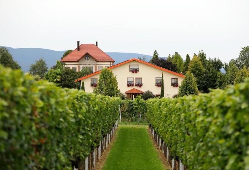 Номер Стандарт Индивидуальный, Villa Hochdörffer Gästehaus