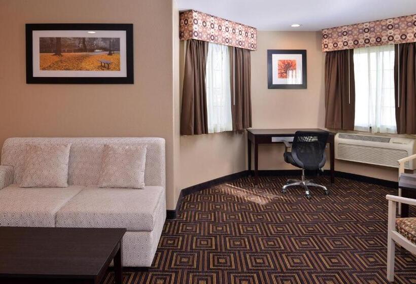 스탠다드 룸 킹사이즈 침대, Americas Best Value Inn & Suites Madera