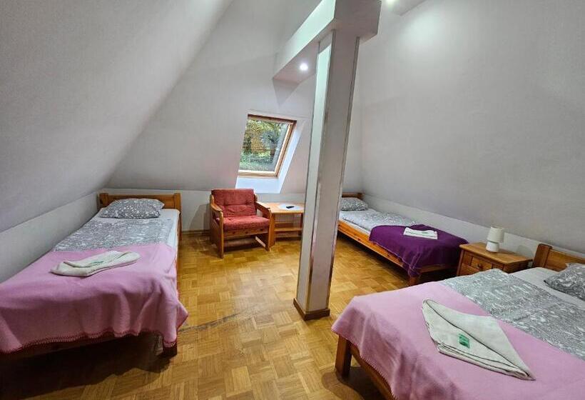 Трежместный Номер Economy, Villa Alexandra