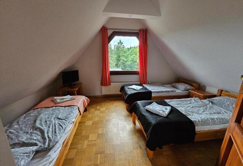 Трежместный Номер Economy, Villa Alexandra