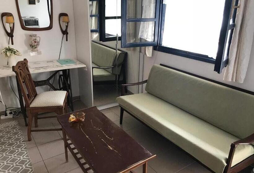 آپارتمان 1 خوابه با چشم‌انداز باغ, Big Blue Apartments