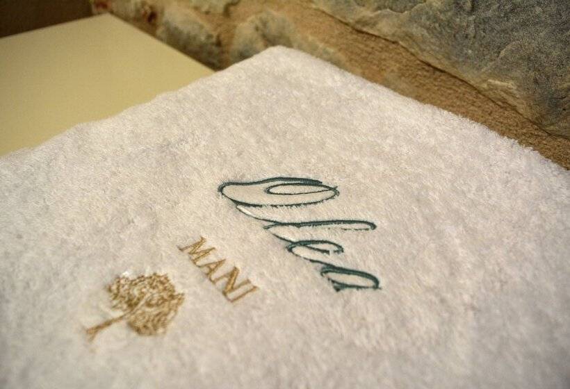 豪华工作室, Olea