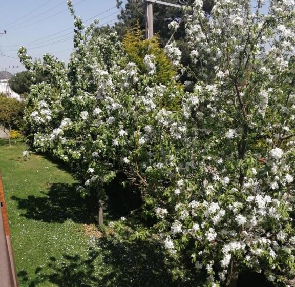 اتاق استاندارد با تخت بزرگ, Snow Hi̇ll House Pansiyon