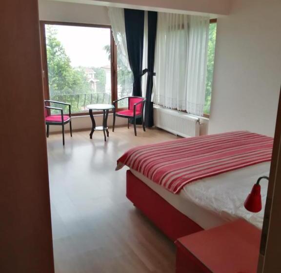 آپارتمان 1 خوابه همکف, Snow Hi̇ll House Pansiyon