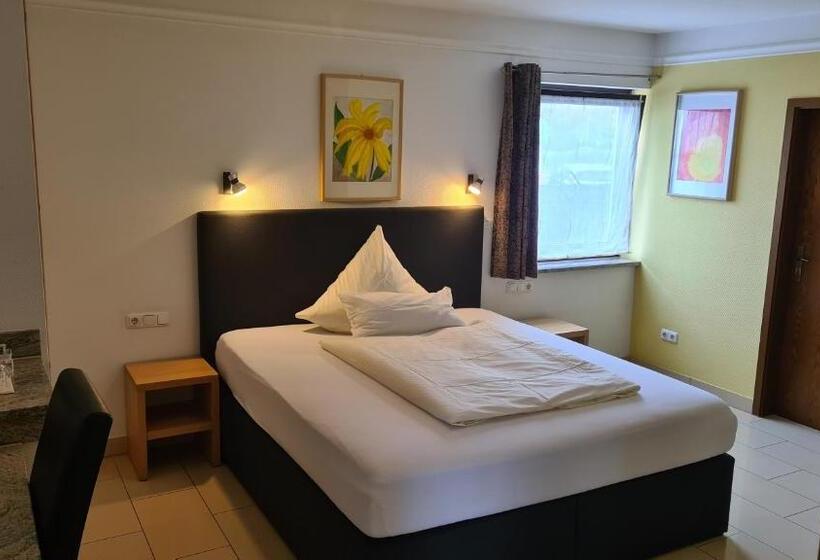 Habitación Estándar, Business Pension Gasper