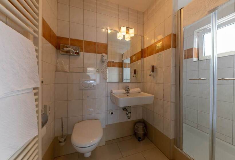 Habitación Estándar, Business Pension Gasper