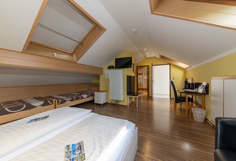 Habitación Estándar, Business Pension Gasper