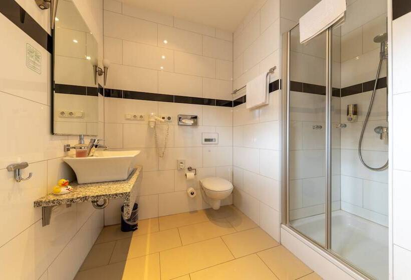 Habitación Estándar Individual, Business Pension Gasper