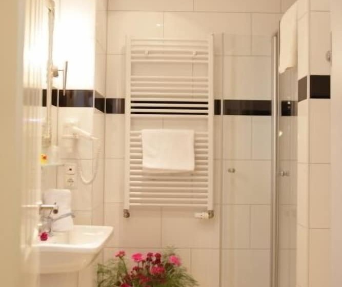 Habitación Estándar Individual, Business Pension Gasper