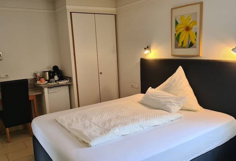 Habitación Estándar, Business Pension Gasper