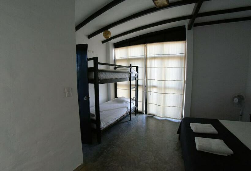 اتاق استاندارد چهارنفره با چشم‌انداز جانبی دریا, Envero Lodge