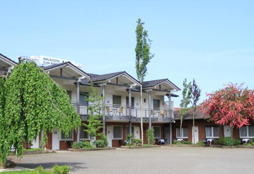 Номер Стандарт, Waldhotel Zum Bergsee Damme