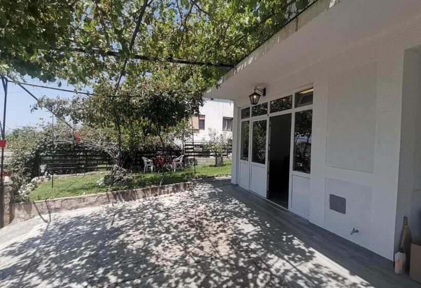 استودیوی استاندارد, Vila Visni