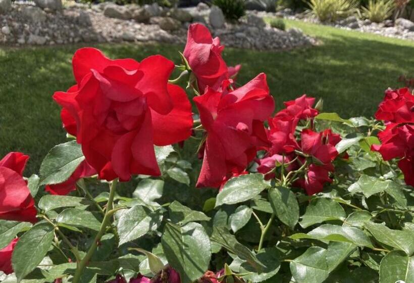 اتاق استاندارد چهار تخته, Villa Lisa   La Quiete E Il Profumo Del Mare